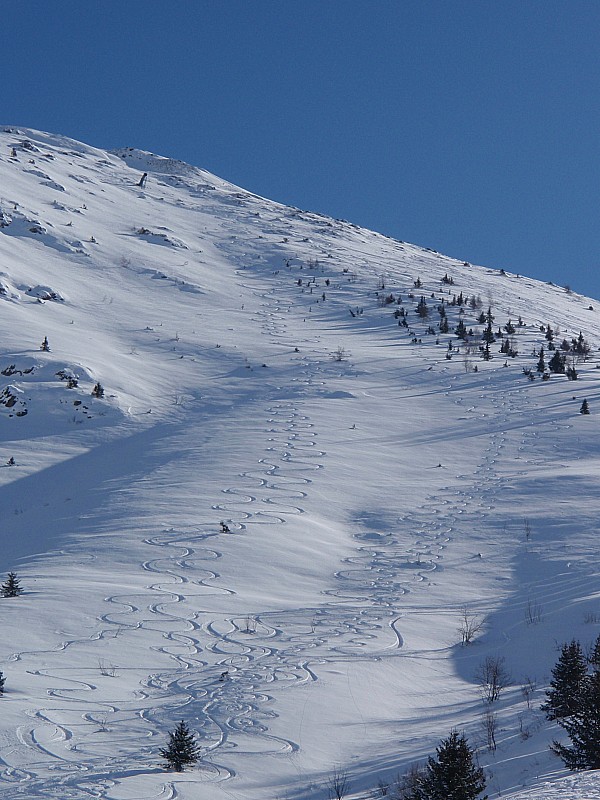 Traces descente NW : Tous ceux qui l'ont fait se sont apparemment régalés (en tout cas moi oui!) - et il reste encore un peu de place!