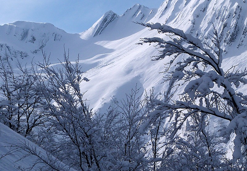 Fenêtre à travers chemin : Pointes des Arces et des Arlicots