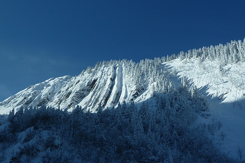 Beau Molard : c'est beau !