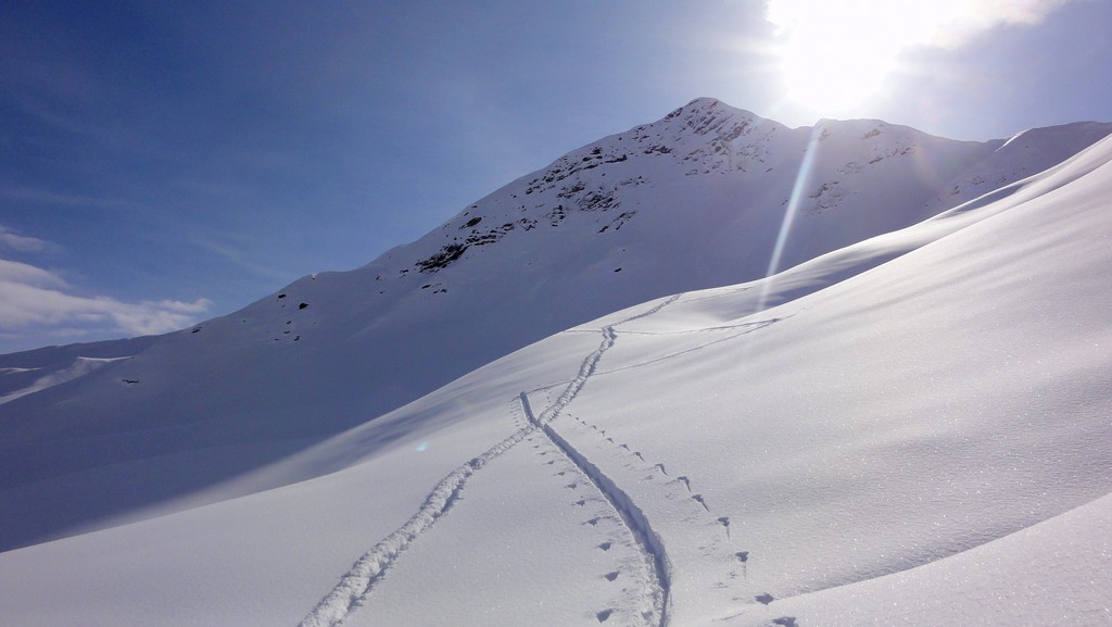 sommet 2295 face Nord : on ira la haut
Croisement trace humaine, trace animale