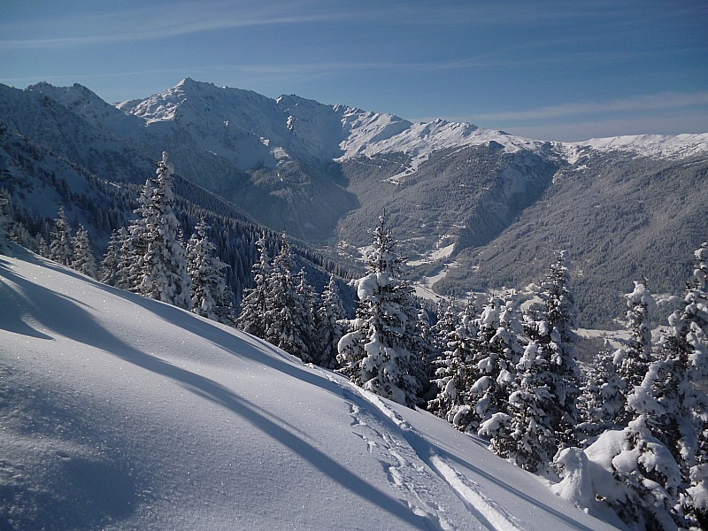 Crêt du Tambour : Sortie de forêt.