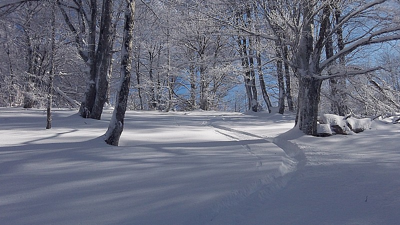 Bois de Carmilles : Retour au calme
