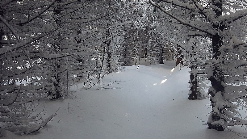 Sur le sentier : Calme et sérenité
