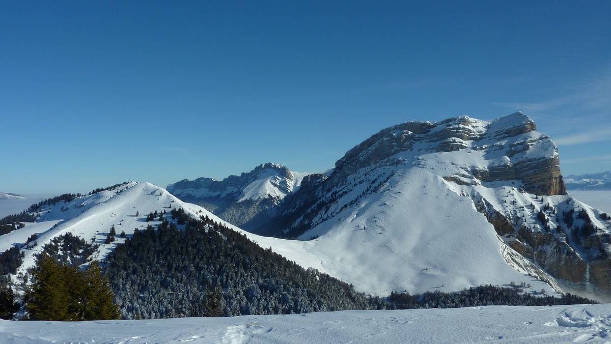 vers le Nord : le givre a quitté les arbres au dessus de 1500m