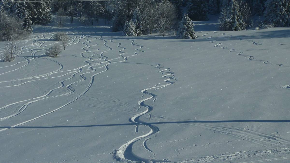 Col du Coq : encore de la place vers l'ancien teleski