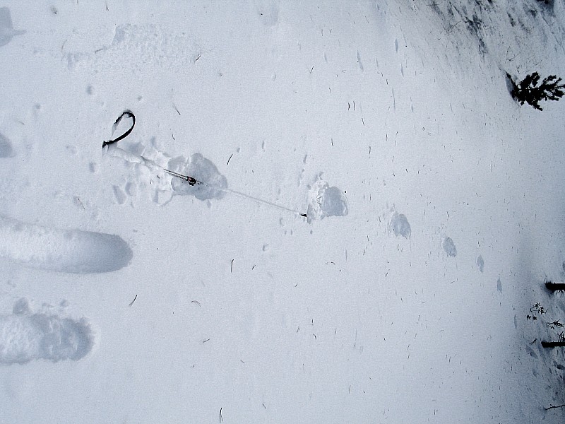 vallée de Planés : il y a trace et traces