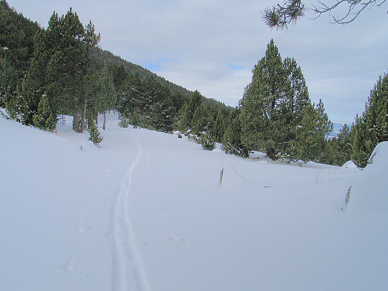Vallée de Planés : Fin de la Piste Forestière