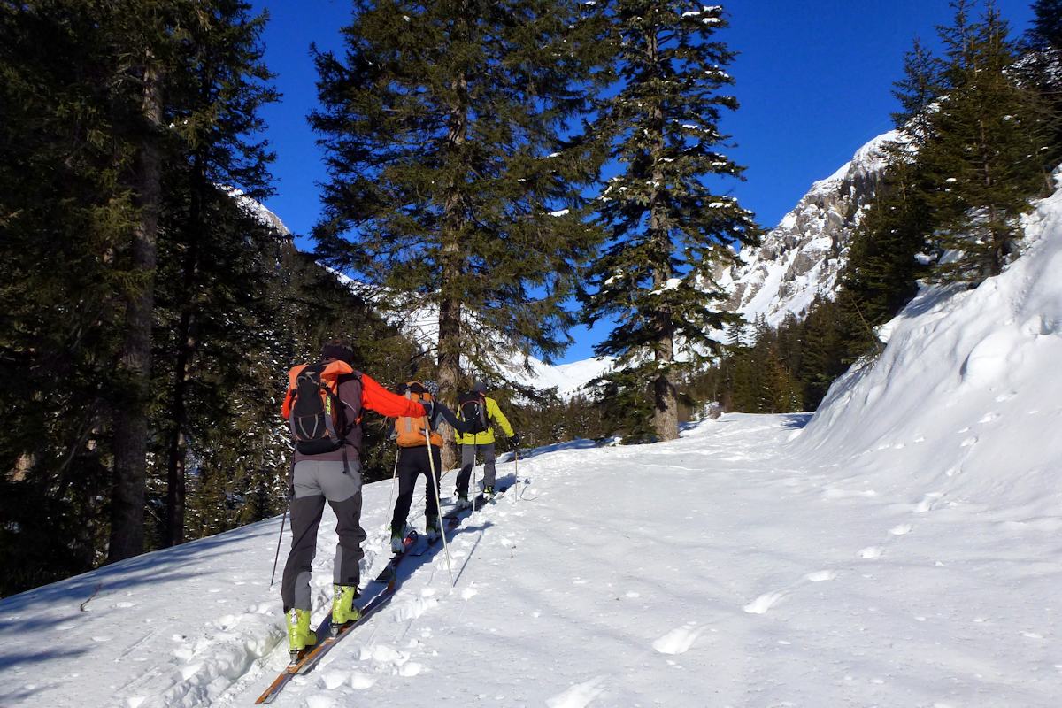 Vallon du Cormet : Parcours forestier en rive gauche dans la partie basse.