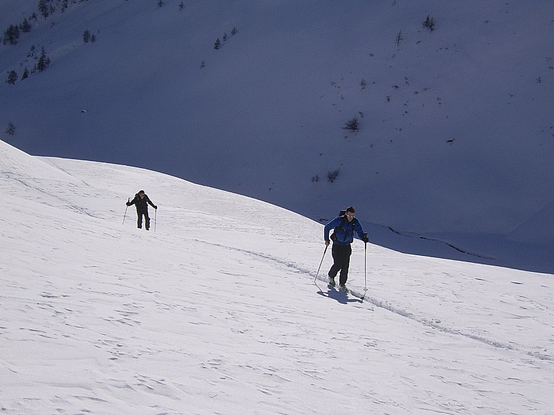 à flanc des ratissières : çà monte au soleil