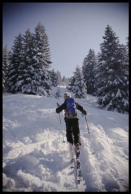 Montée au soleil : à la sortie de la forêt, le soleil nous réchauffe