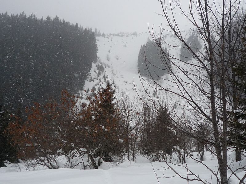 Armancette : la face inskiable ce jour