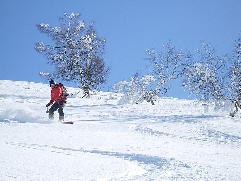 C'est bon ça!!! : Pas mal de givre sur les arbres (-14° le matin tout de même!!)