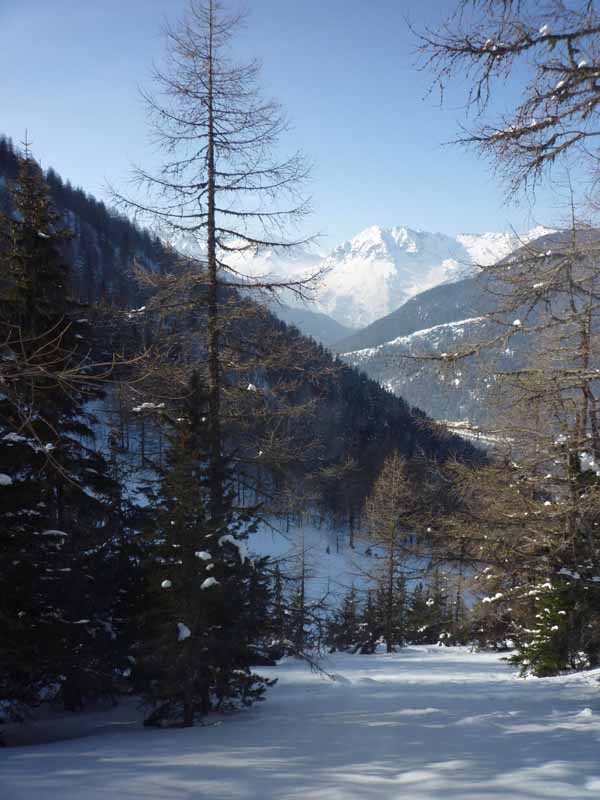 vue d'ensemble : La descente