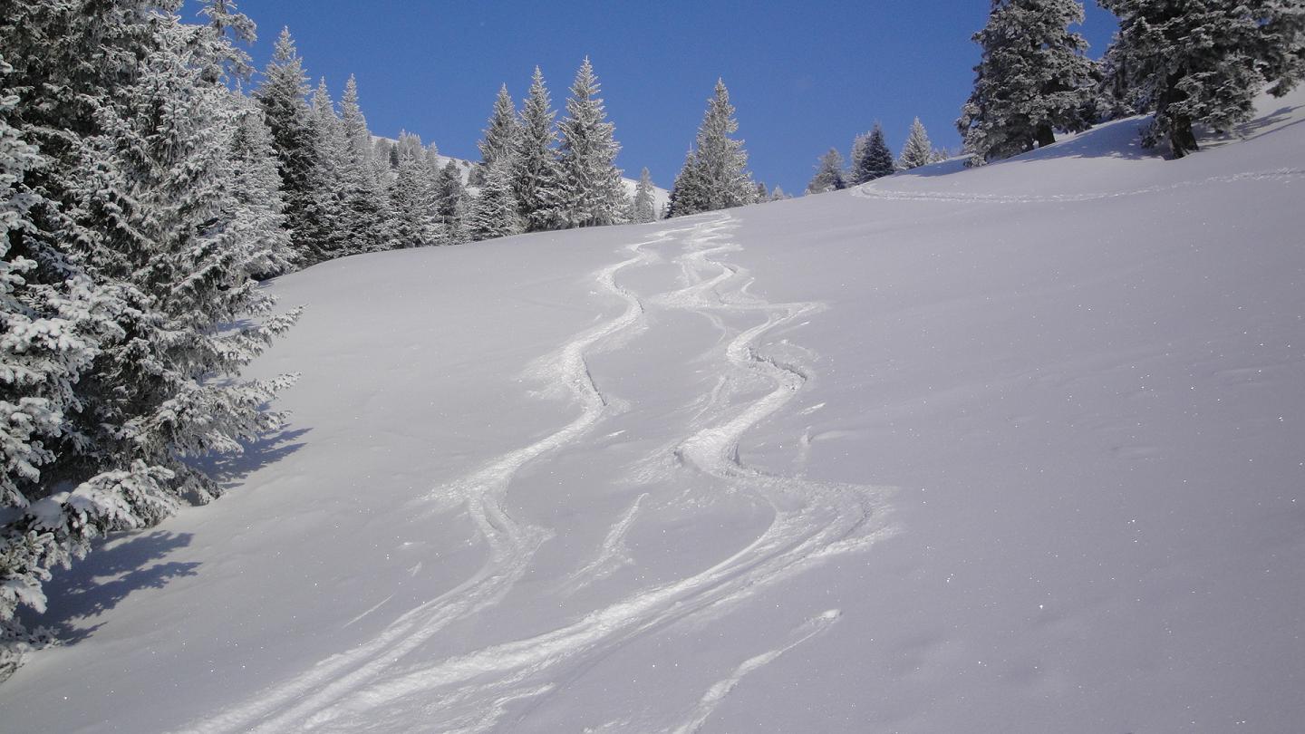 Traces : Neige irréguliére sur le haut mais avec de bons passages