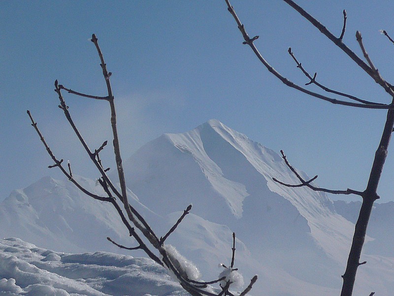 le Charvin