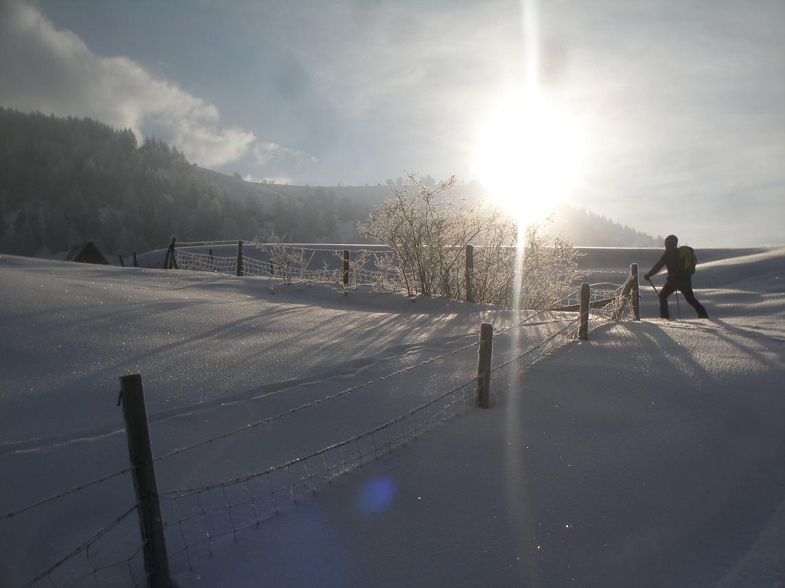 bien froid au petit matin