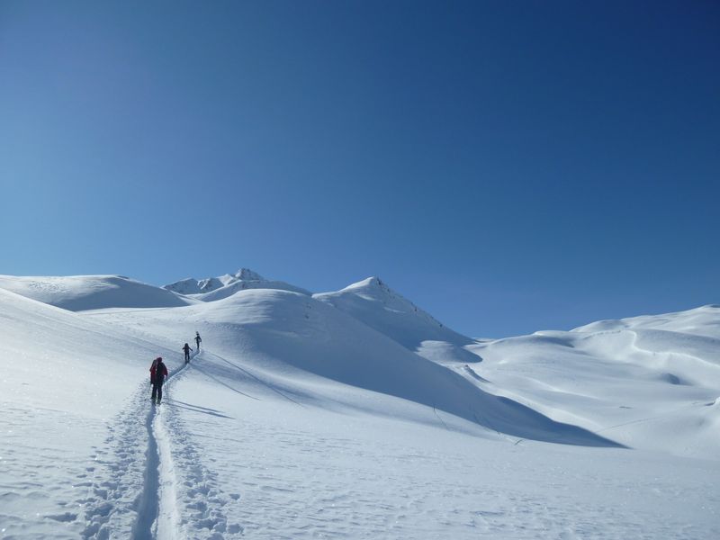 vallon du Cormet : Sauvage...