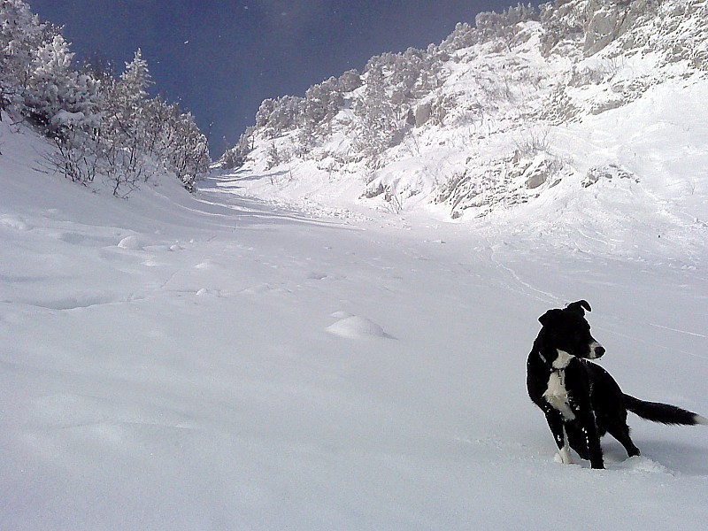 Col du Fret : c'est la qu'on monte