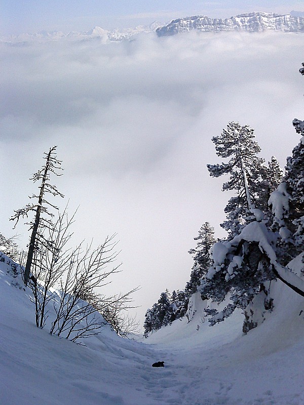 Col du Fret : avant d'entrée dans la grisaille