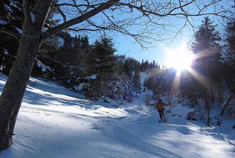 #8 Cagire, versant N : bonne poudre en forêt Cagire, versant N : bonne poudre en forêt