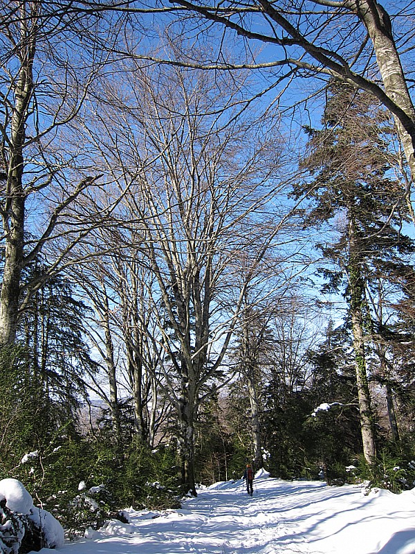 #10 100 derniers mètres à pieds : pour épargner les semelles 100 derniers mètres à pieds : pour épargner les semelles