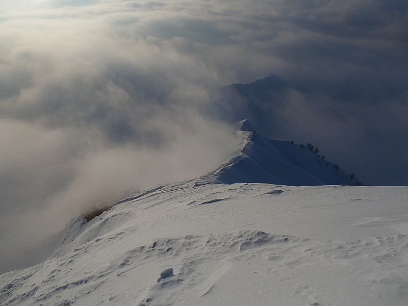 Tré le Mollard : L'arête de montée.
