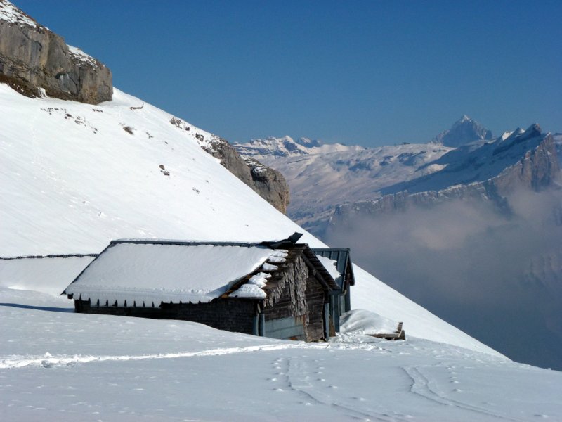 Chalets de Vormy : Chalet et Aig. verte
