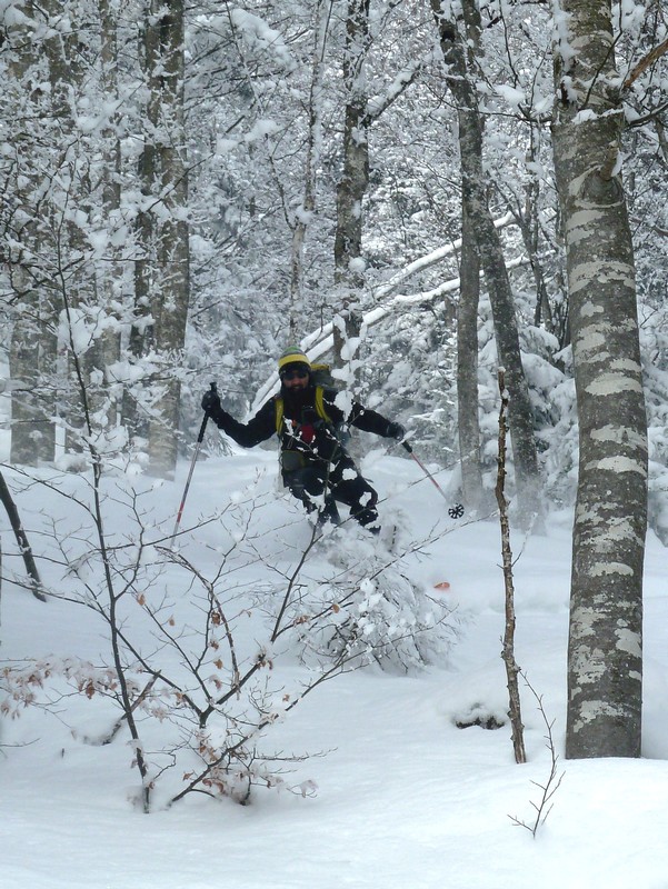 dans la foret : Pascal free rider
