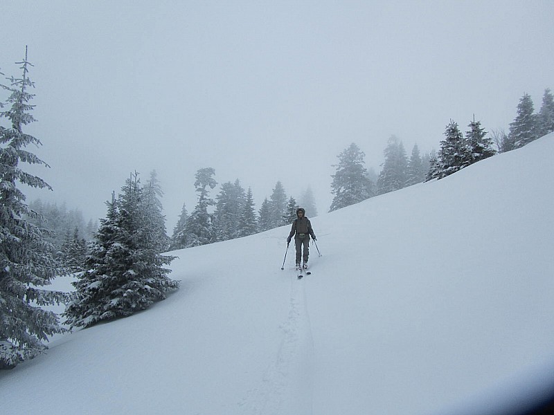 descente : agréable... en suivant la trace