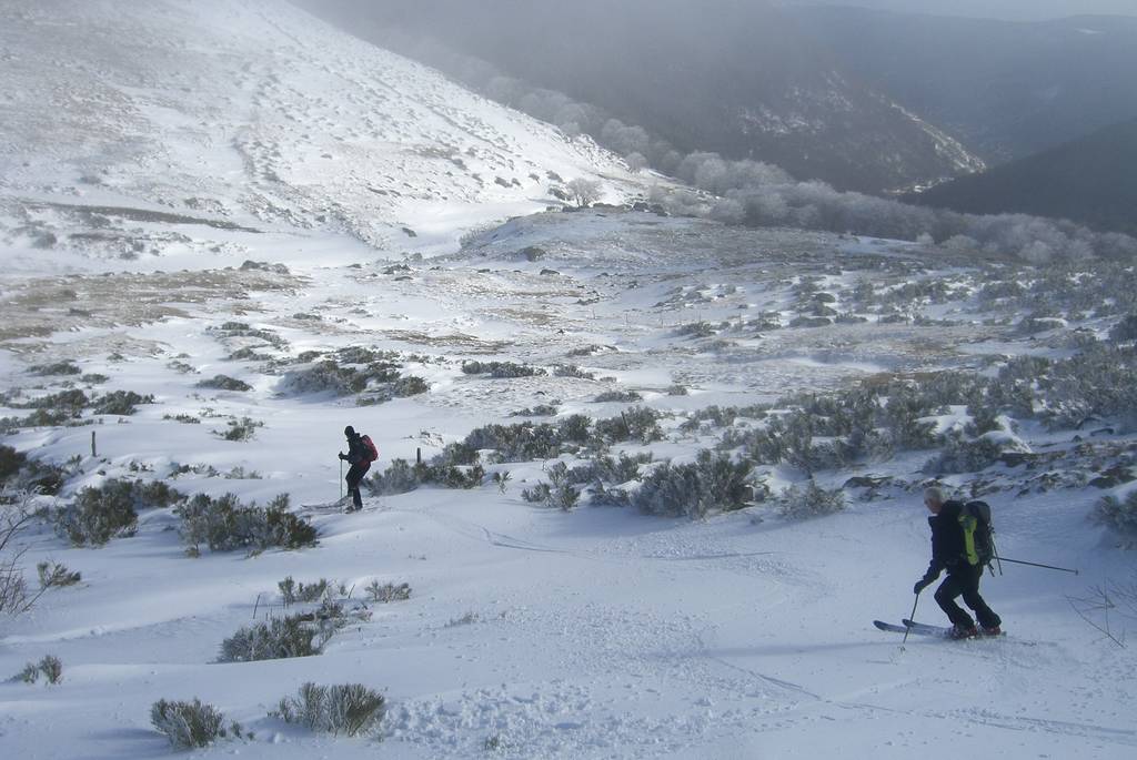 Fin de descente : Entre les genêts