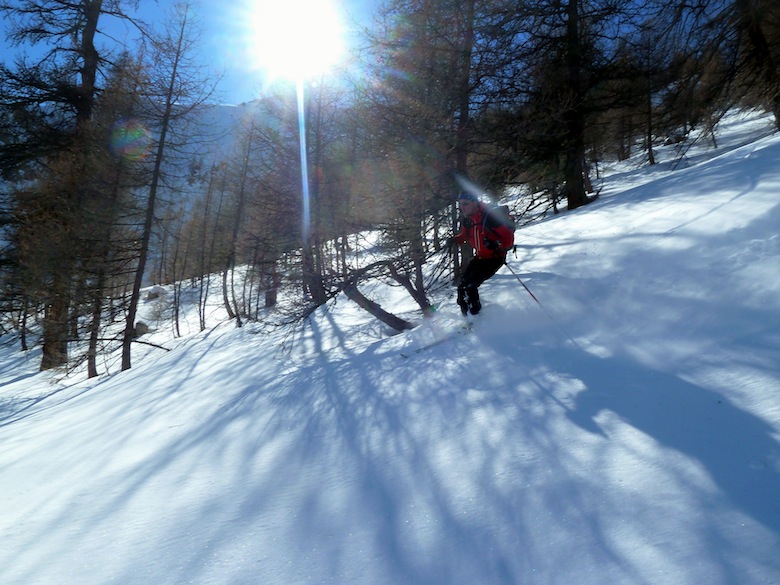 Descente dans le bois : Merci Olive pour l'idée