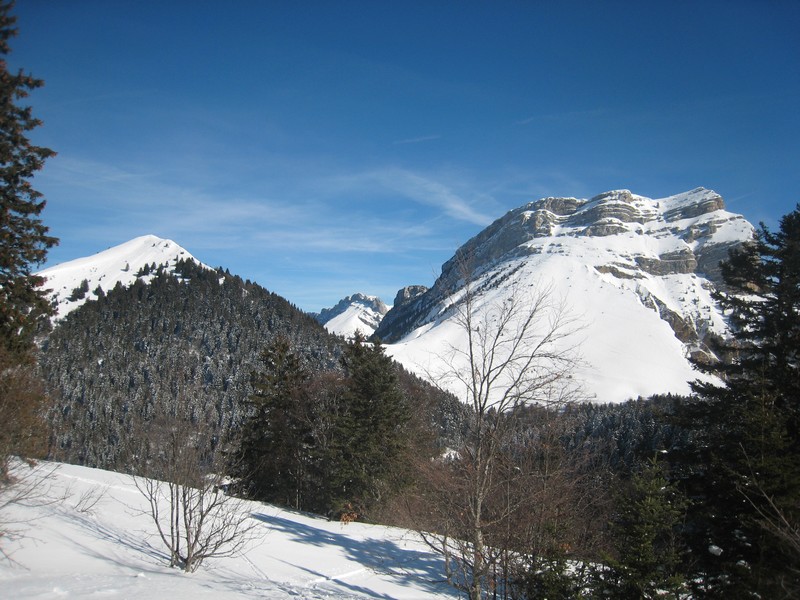 Chartreusement votre : Toujours superbe !