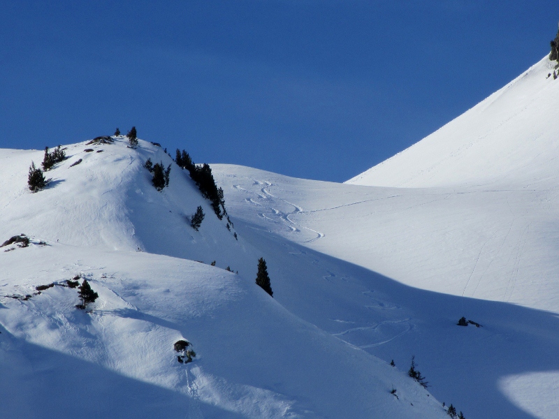 Descente : Encore de la poudre