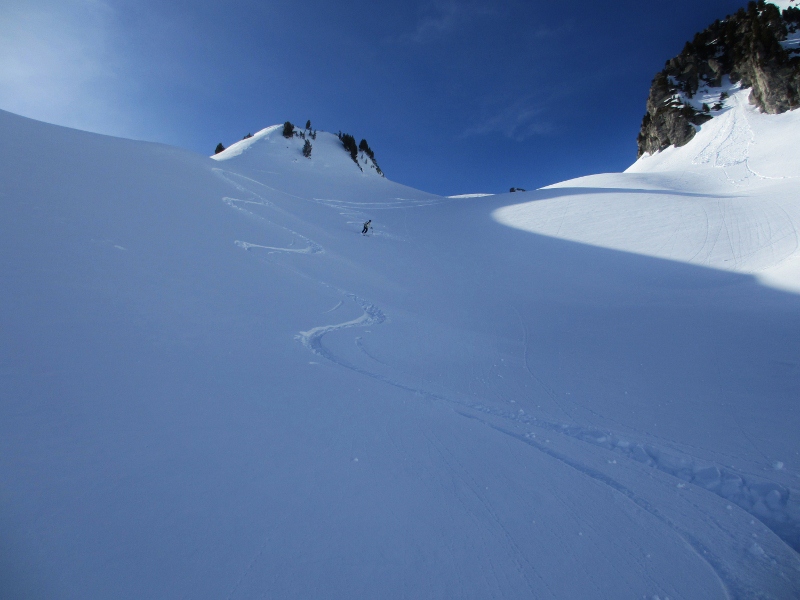 Descente : Traces dans la poudre
