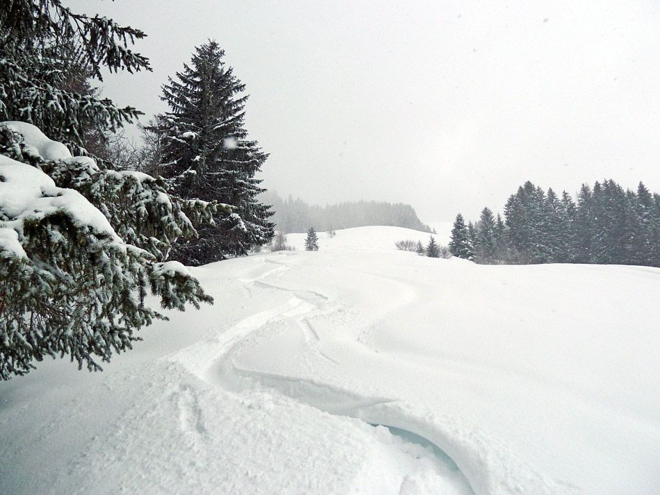 Jour blanc. : Bonne skiabilité, mais skis larges de rigueur.