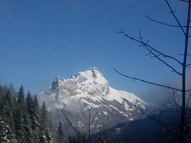 Dent de pleuven : moi ça je fait pas .