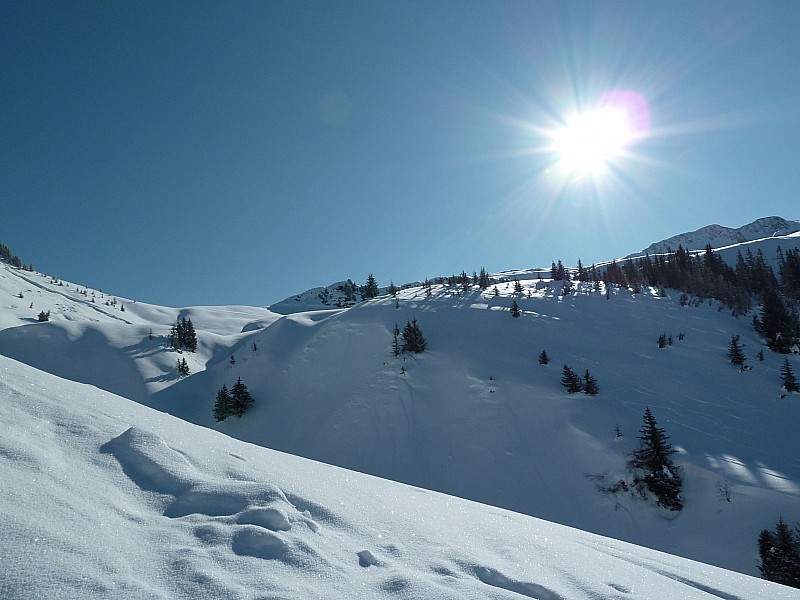 #6 Sortie de la forêt : arrivée au pland de la Mouille Sortie de la forêt : arrivée au pland de la Mouille