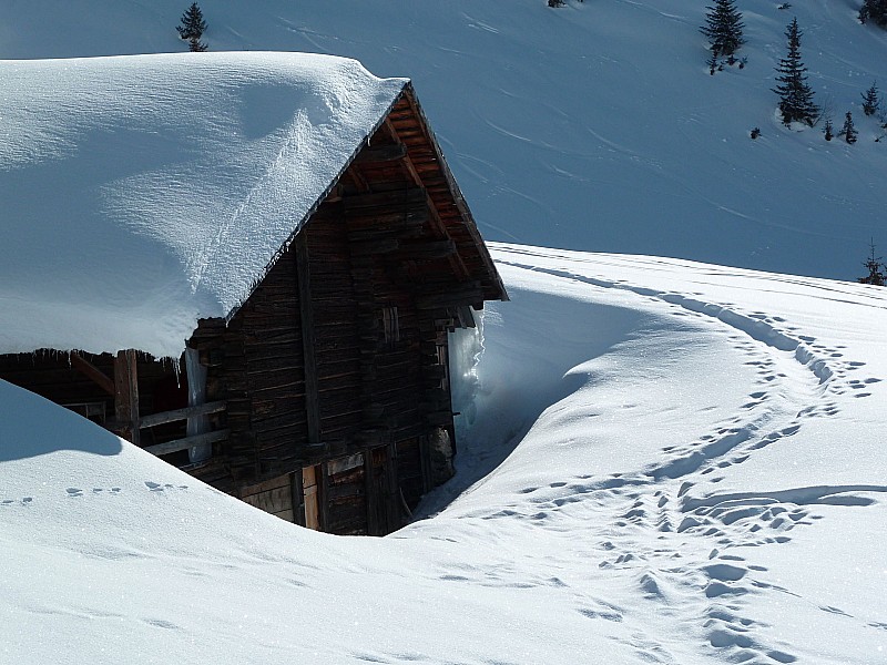 #5 La Commanderie : Derniers chalets La Commanderie : Derniers chalets