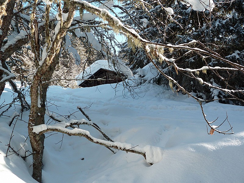 #4 Chalet (1458 m) : A cache cache à travers les arbres Chalet (1458 m) : A cache cache à travers les arbres