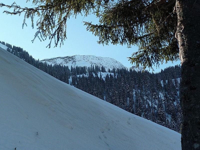 #2 Objectif du jour : La crête de la Montagne d Objectif du jour : La crête de la Montagne d'Outray