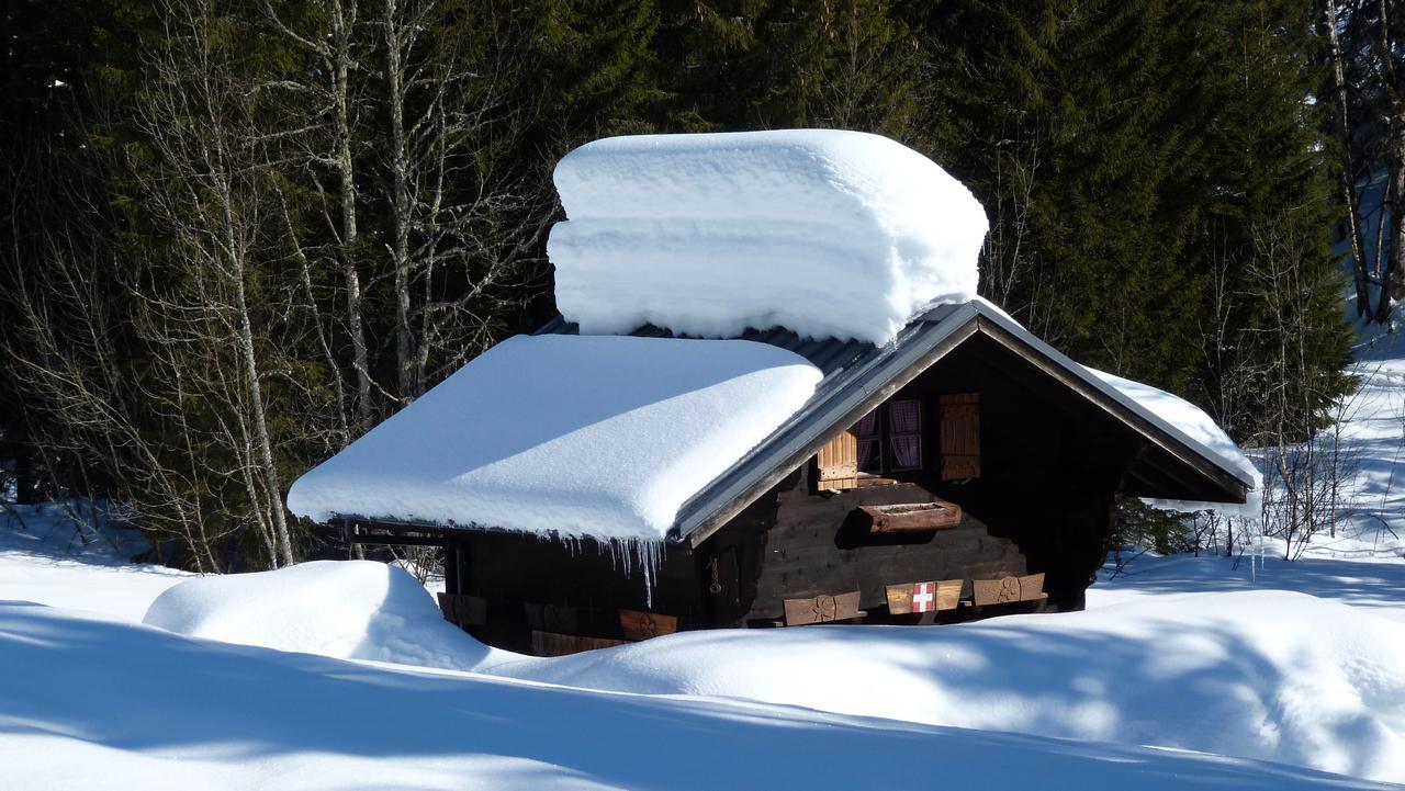 Enneigement : Le Chablais bien servi et non pas le Chablis bien ...
