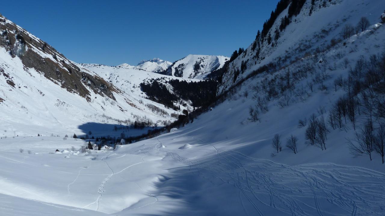 Col de la Bolire : Super poudreuse en pente nord