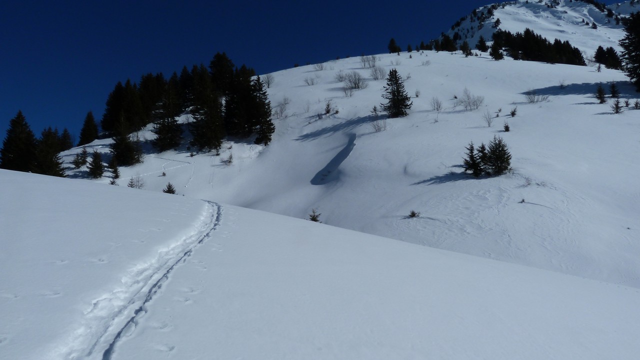 Vers le Col de la Bolire : Peu de traces récentes