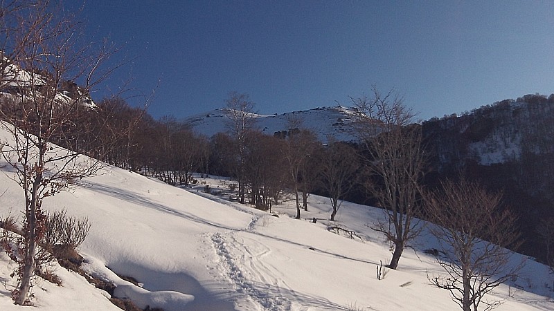 #2 Avant la forêt : Le Saint-Barthélémy Avant la forêt : Le Saint-Barthélémy