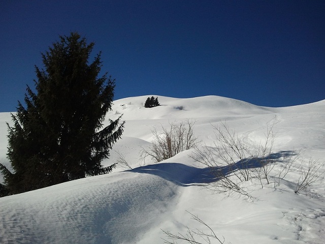 sortie du bois : vers les chalets d'uble