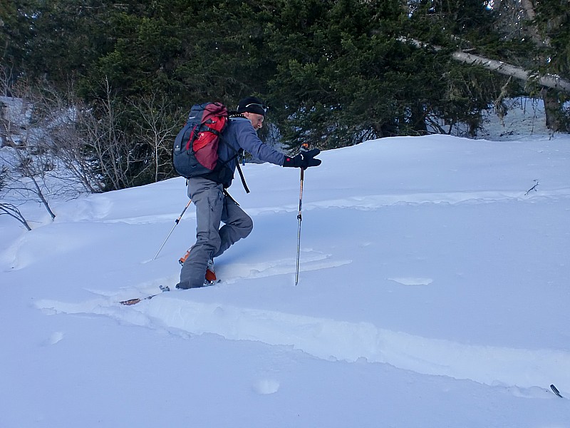 plan des queux : billy a la trace