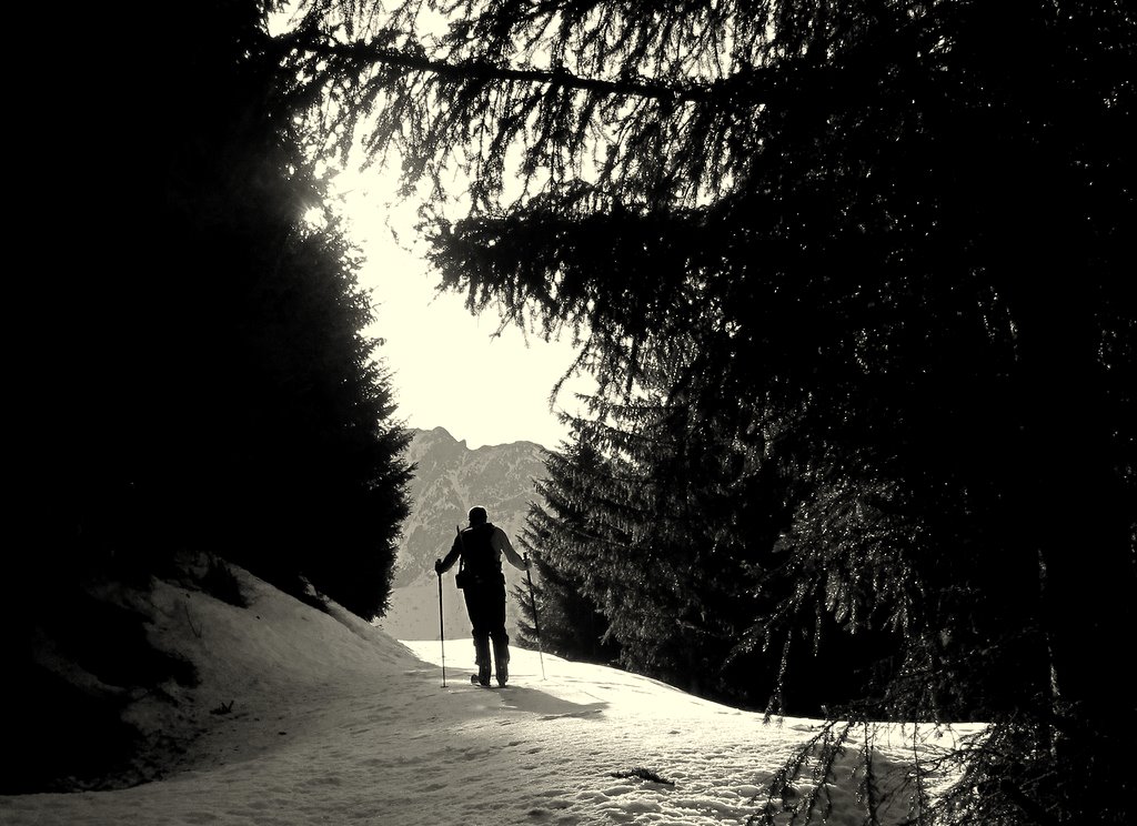 Le sentier du Col des Vachers