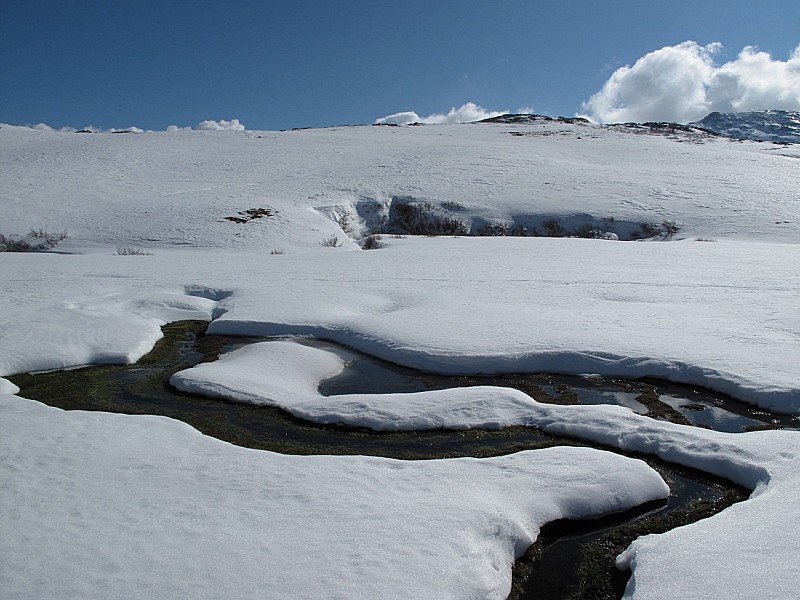 #25 Pozzines : Les Pozzines sous le lac de Nino Pozzines : Les Pozzines sous le lac de Nino