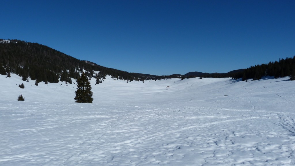 Darbounouse : Une trouée sur le Haut Plateau