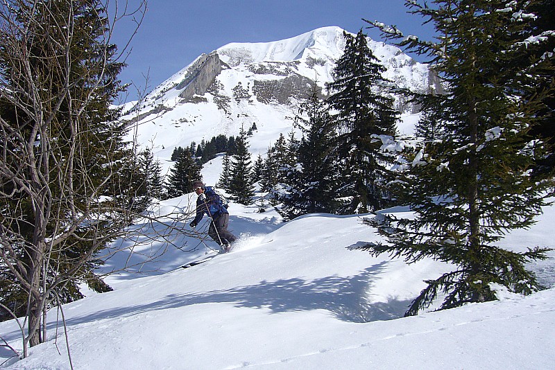 Totoff : Dans la partie ludique